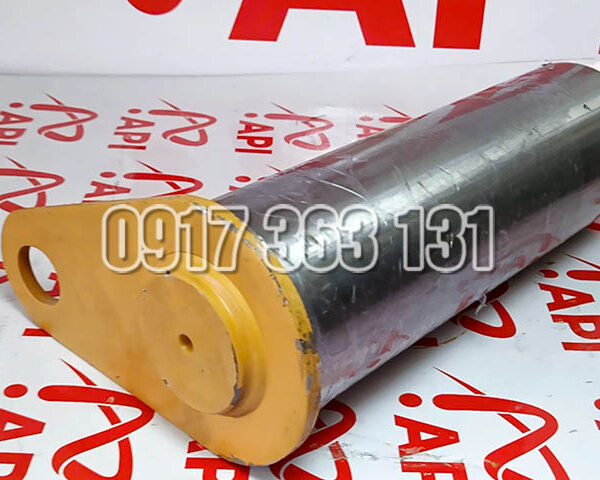 chot-gau-xuc-lat_08