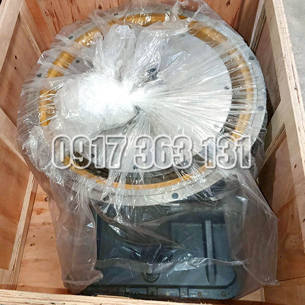 tong-thanh-bien-mo-lonking_04