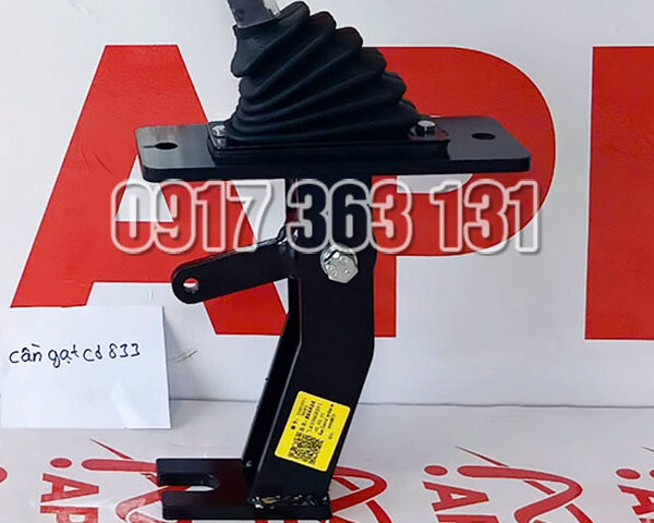 can-so-lonking-833