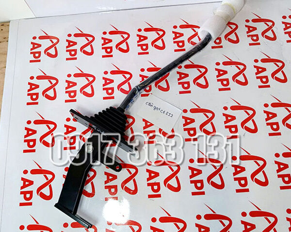can-so-lonking-833_04